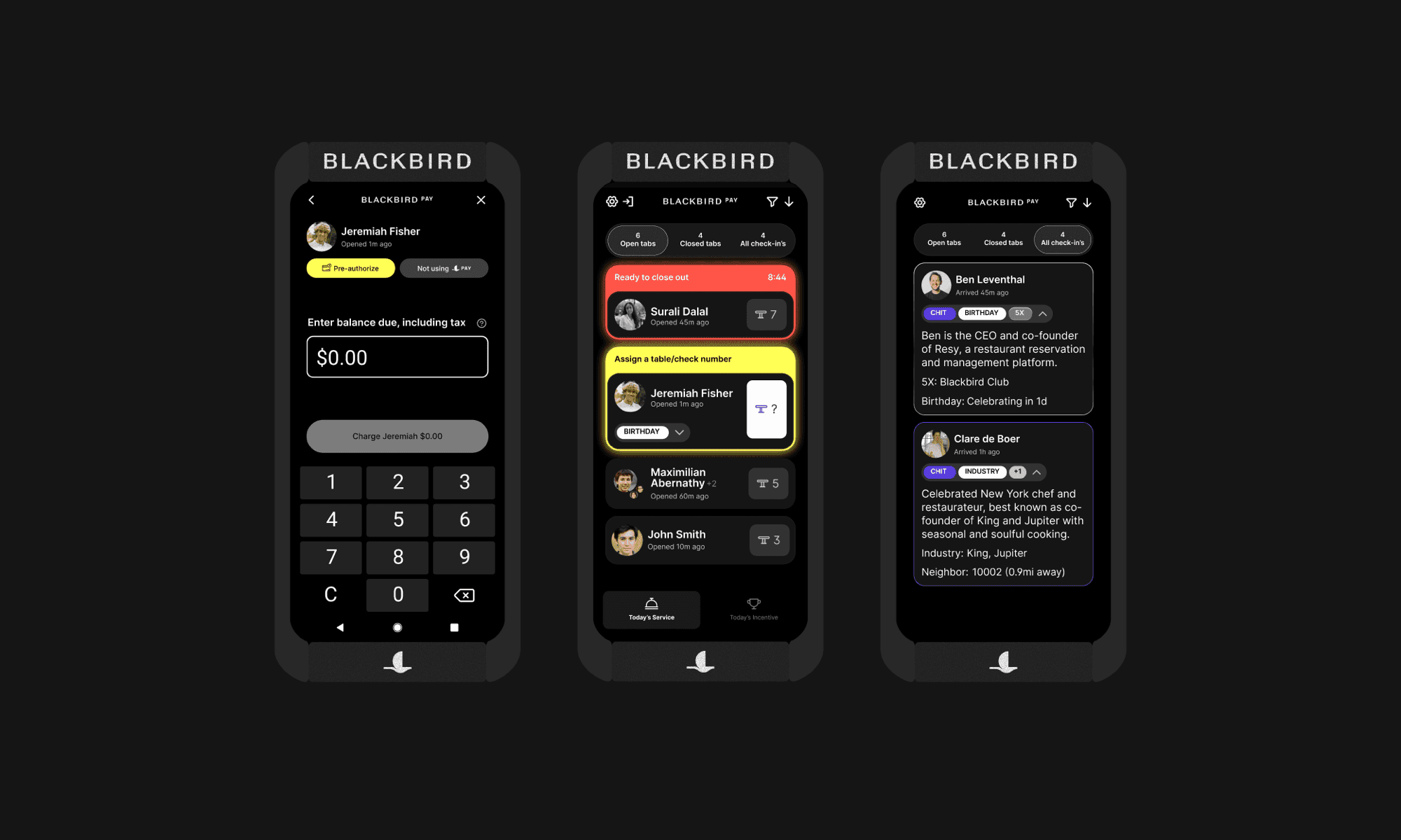 Blackbird Flycar device